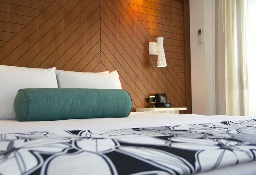 스탠다드 룸, Oasis Hotel Waikiki