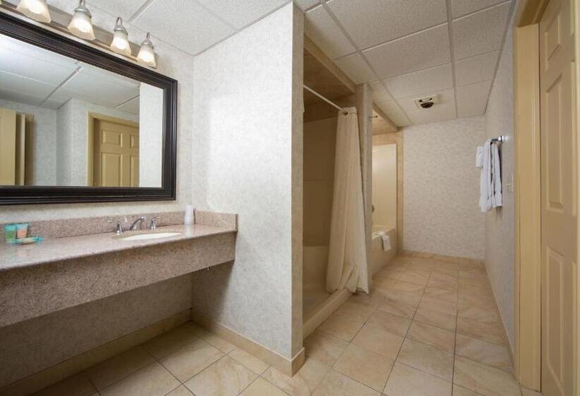 Апартаменты 2 Спальни, Villa Roma Resort And Conference Center