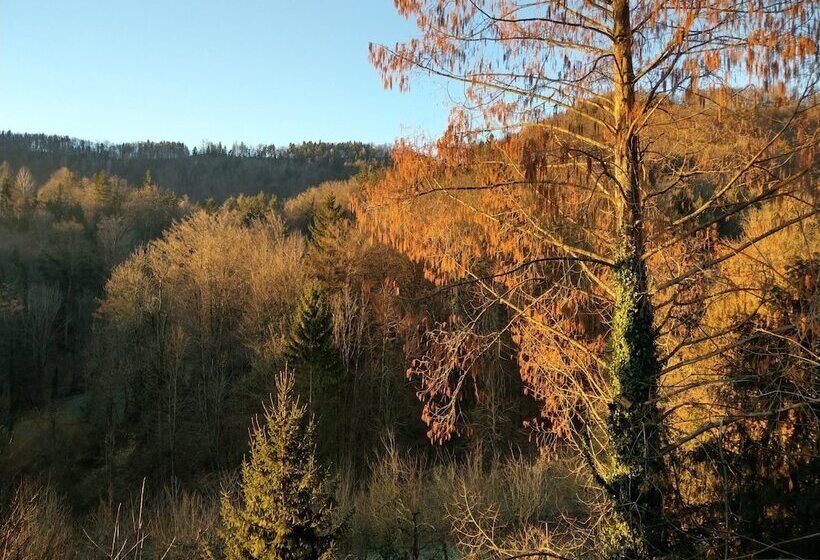 اتاق خانوادگی با چشم‌انداز کوه, Trojane
