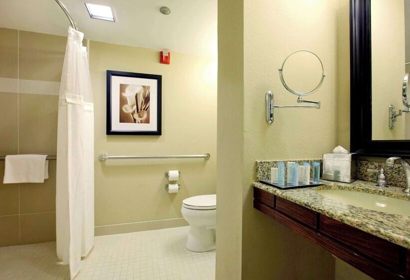 اتاق استاندارد برای معلولان, Hilton Orlando Lake Buena Vista   Disney Springs® Area