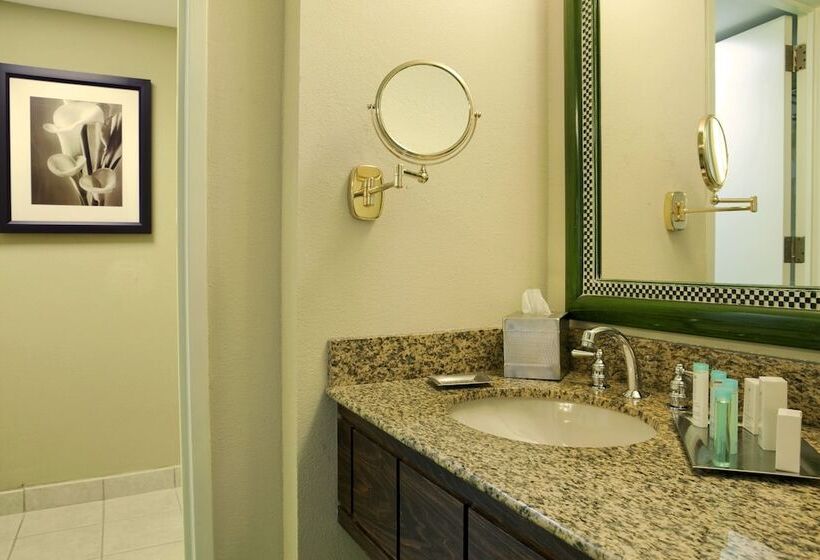 اتاق استاندارد, Hilton Orlando Lake Buena Vista   Disney Springs® Area