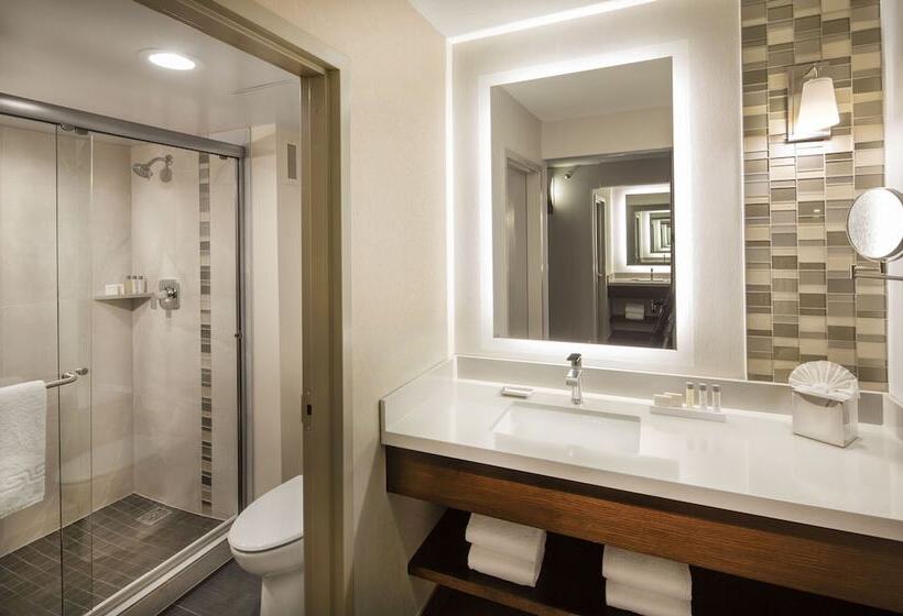 Номер Deluxe, Silver Legacy Resort  Casino At The Row