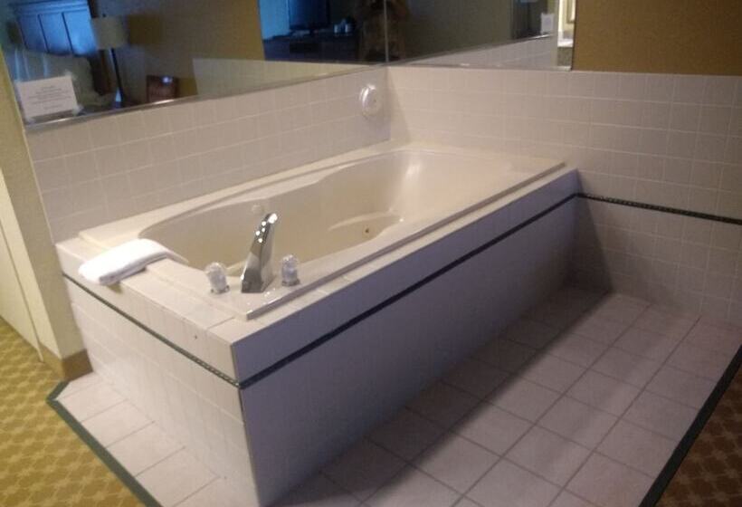 带按摩浴盆的套房, Country Inn & Suites By Radisson Kalamazoo Mi