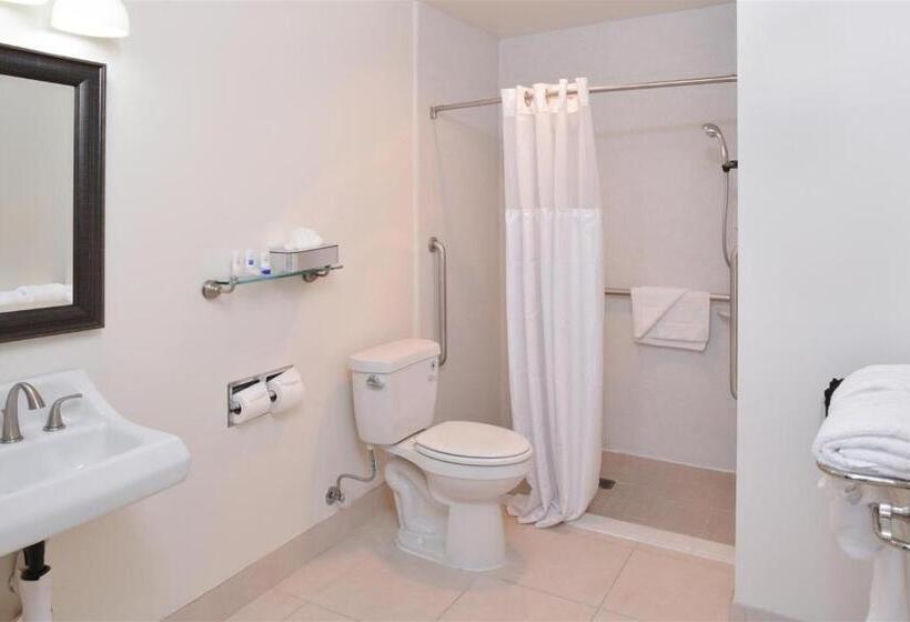 Номер Стандарт Кровать Кинг Адаптированный для Инвалидов, Best Western Plus La Midtown