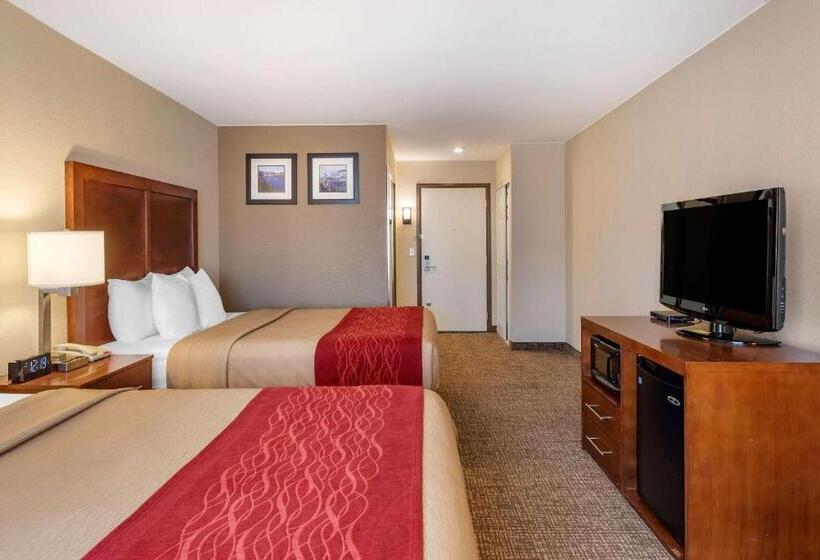 Номер Стандарт, Comfort Inn & Suites