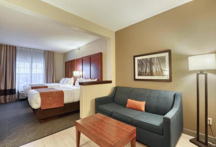 Люкс, Comfort Suites Appleton Airport