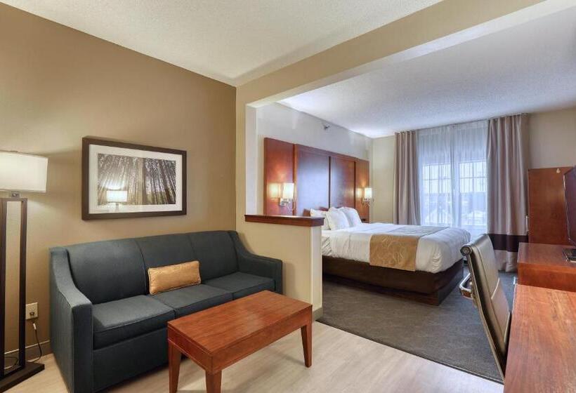 Люкс Кровать Кинг, Comfort Suites Appleton Airport