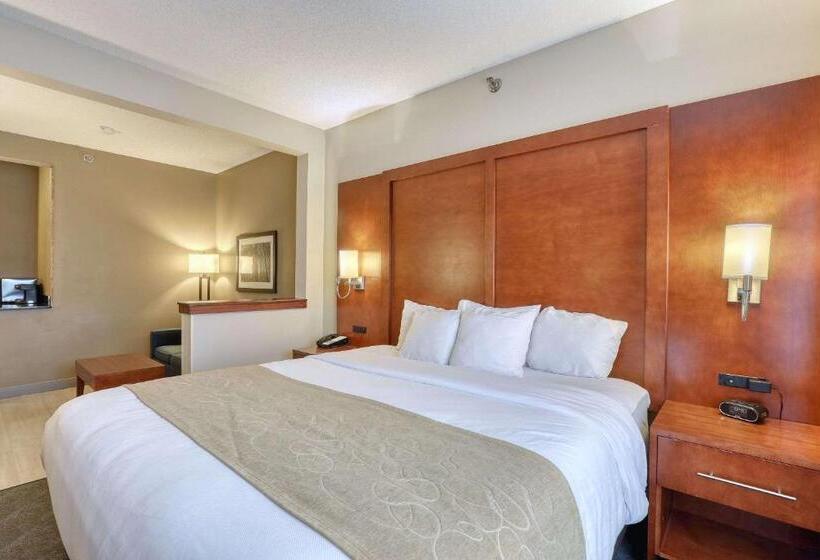 Люкс Кровать Кинг, Comfort Suites Appleton Airport
