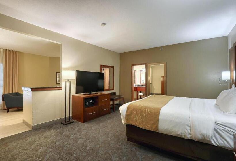 Люкс Executive Кровать Кинг, Comfort Suites Appleton Airport