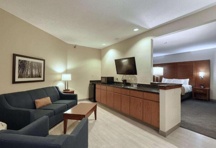 Люкс Executive Кровать Кинг, Comfort Suites Appleton Airport