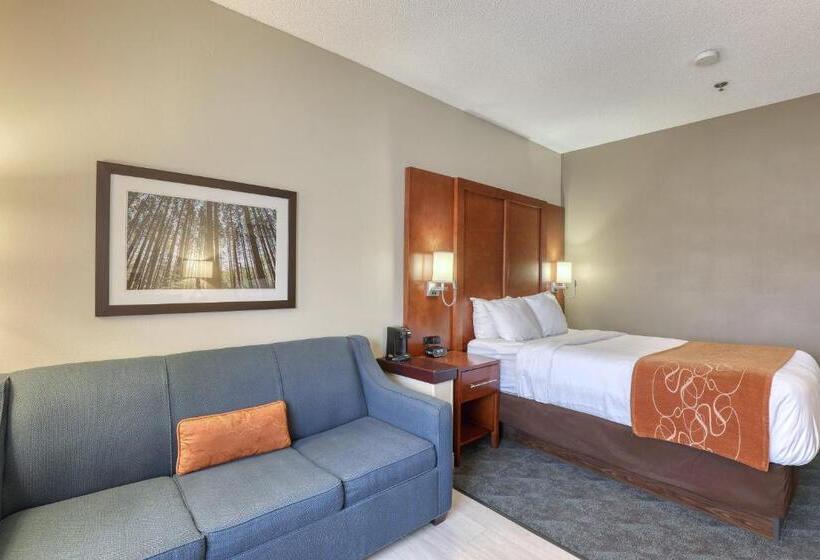 Люкс Адаптированный для Инвалидов, Comfort Suites Appleton Airport