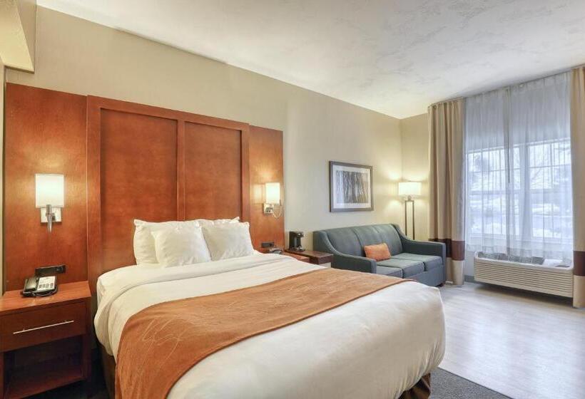 Люкс Адаптированный для Инвалидов, Comfort Suites Appleton Airport
