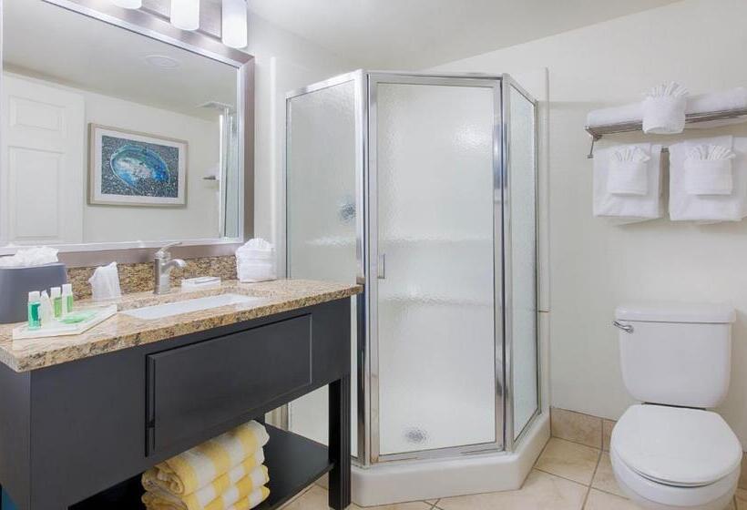 اتاق استاندارد, Holiday Inn Resort Daytona Beach Oceanfront, An Ihg