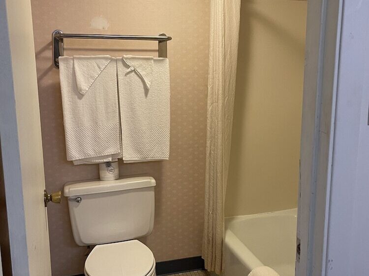 Номер Стандарт 2 Двуспальные Кровати, Horseshoe Curve Lodge