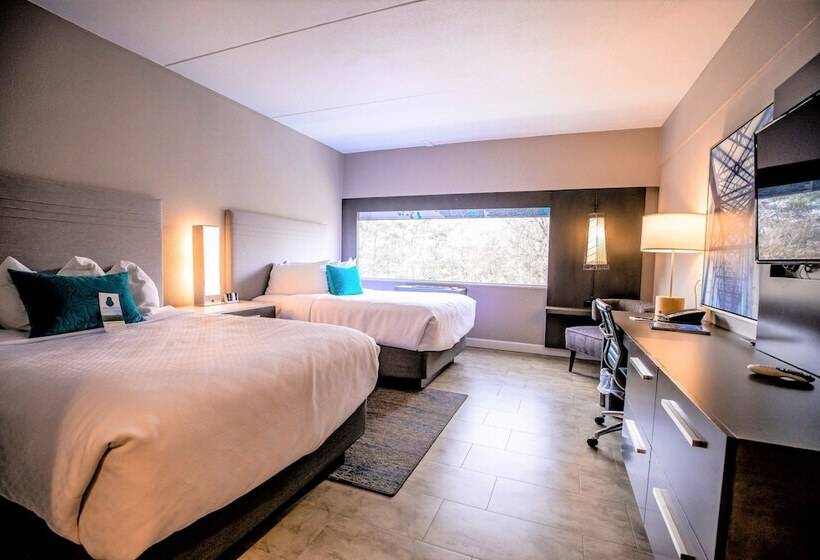 Номер Стандарт 2 Двуспальные Кровати, Indigo Harrisburg   Hershey, An Ihg