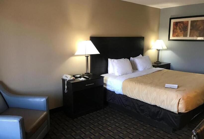 Quarto Standard Cama King, Quality Inn Clinton  Laurens I26