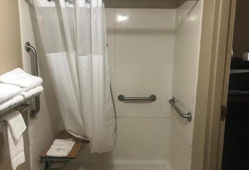 Quarto Standard Cama King para Deficientes, Quality Inn Clinton  Laurens I26