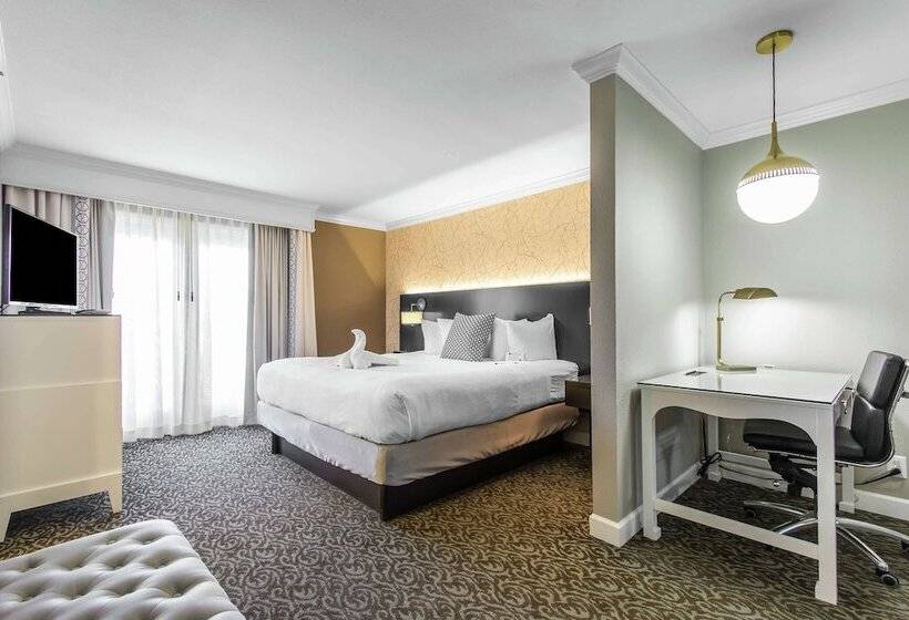 스탠다드 스튜디오 더블 침대, The Burgundy Hotel, Tapestry Collection By Hilton