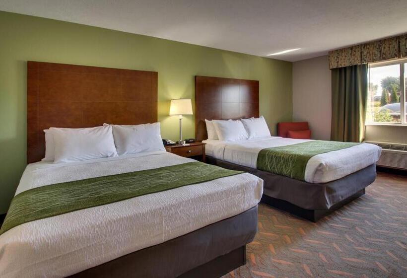 اتاق استاندارد, Wingfield Inn & Suites