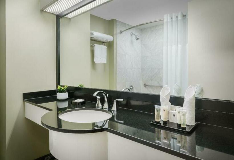 اتاق استاندارد با تخت بزرگ, Millennium Hotel Broadway Times Square