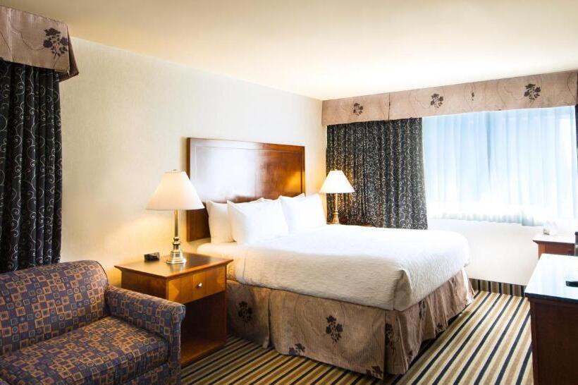 キングサイズベッドのエクゼクティブルーム, Best Western Plus Suites Downtown Calgary