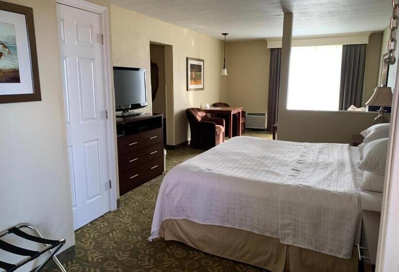 Стандартный Номер Кровать Кинг, Best Western Salbasgeon Inn & Suites
