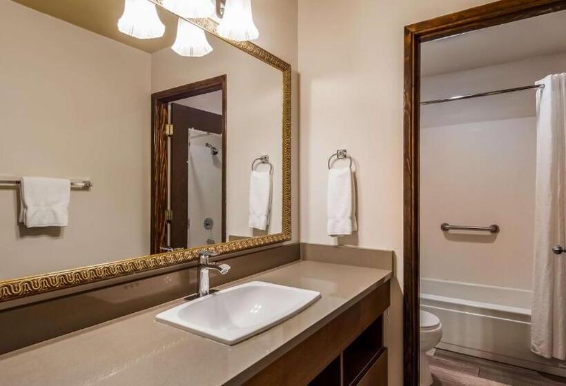 Стандартный Номер Кровать Кинг, Best Western Salbasgeon Inn & Suites