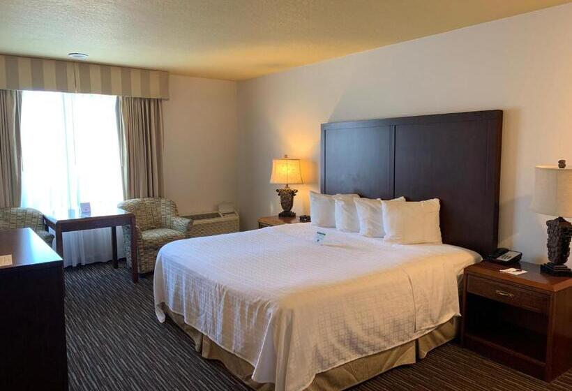 스탠다드 룸 킹사이즈 침대, Best Western Salbasgeon Inn & Suites
