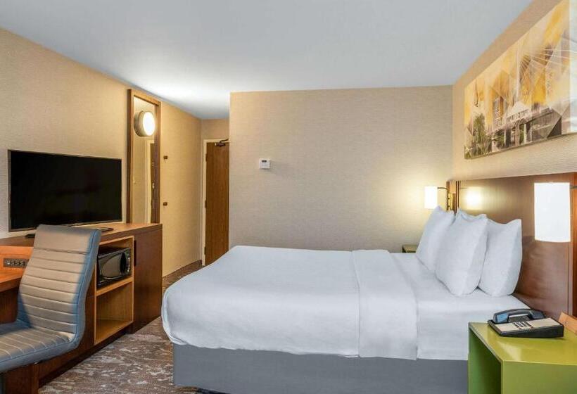 キングサイズベッドのスタンダードルーム, Comfort Inn Airport