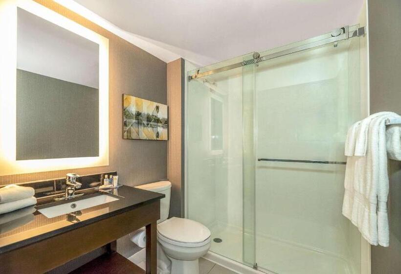 Quarto Estandar Cama King, Comfort Inn Airport