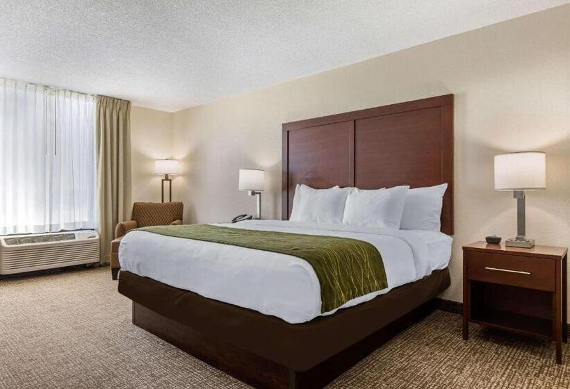 장애인을 위한 킹사이즈 침대 스탠다드 룸, Comfort Inn