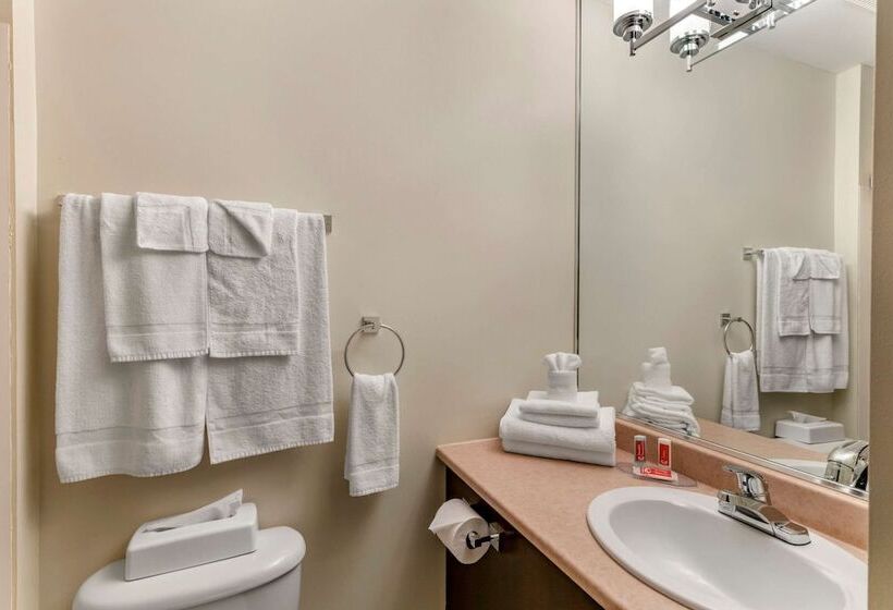 ２ダブルベッドのスタンダードルーム, Econo Lodge