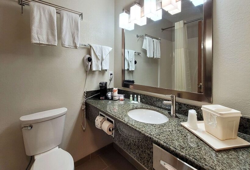 Номер Стандарт 2 Двуспальные Кровати, Quality Inn & Suites