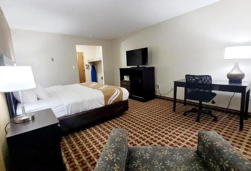 Стандартный Номер Кровать Кинг, Quality Inn & Suites