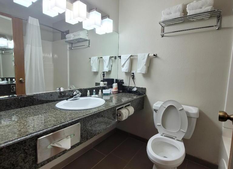 Люкс Кровать Кинг, Quality Inn & Suites