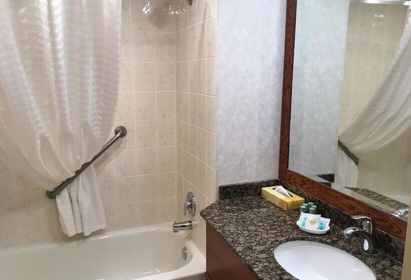 Номер Стандарт 2 Двуспальные Кровати, Best Western Voyageur Place