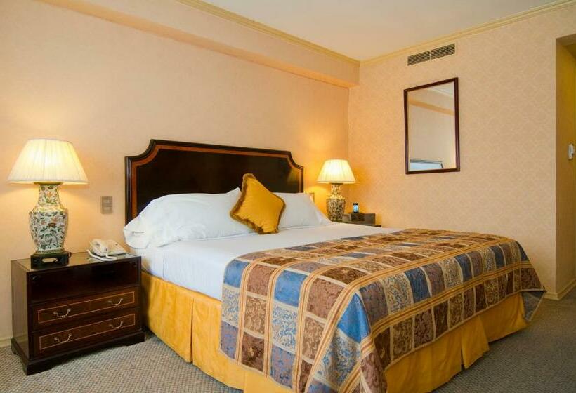 اتاق استاندارد, Park Plaza Santiago