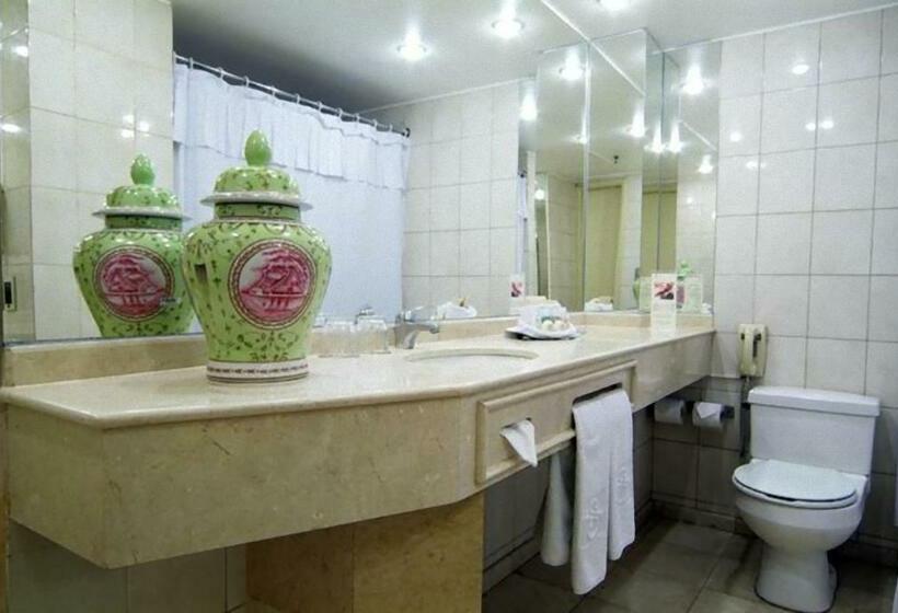 اتاق استاندارد یک نفره, Park Plaza Santiago