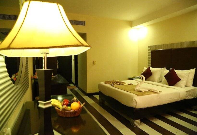 Номер Superior, Regenta Central Deccan