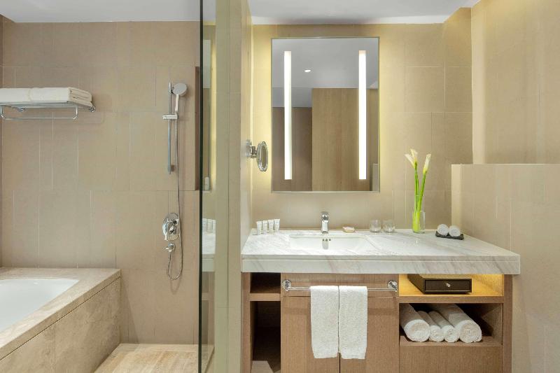 سوییت جونیور, & Spa Regent Petite France