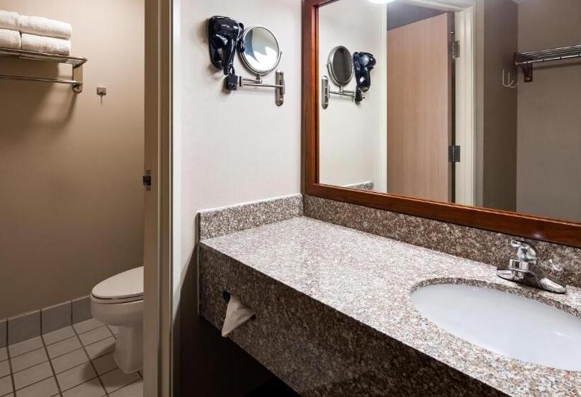 اتاق لوکس با تخت بزرگ, Best Western Airport Inn