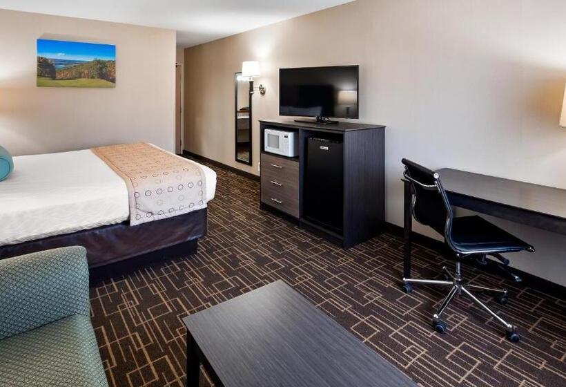 اتاق لوکس با تخت بزرگ, Best Western Airport Inn