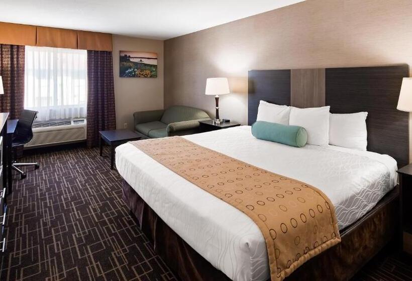 اتاق لوکس با تخت بزرگ, Best Western Airport Inn