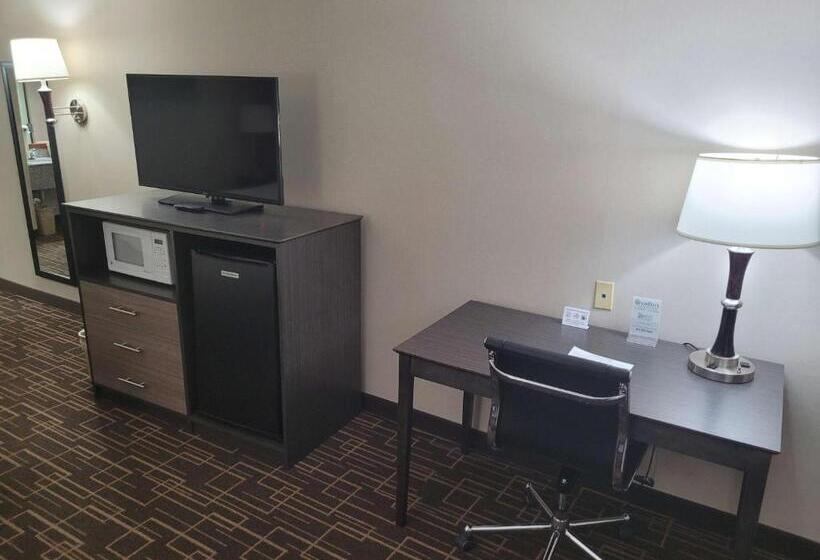 اتاق استاندارد با تخت بزرگ, Best Western Airport Inn