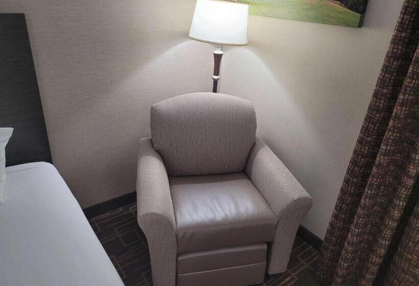 اتاق استاندارد با تخت بزرگ, Best Western Airport Inn