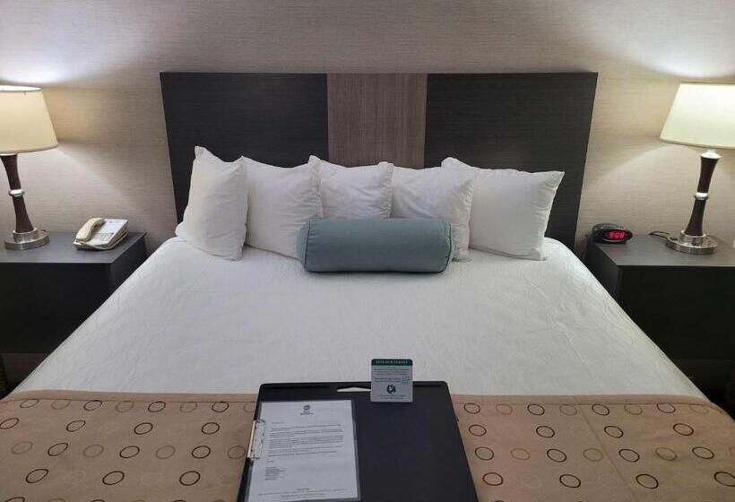 اتاق استاندارد با تخت بزرگ, Best Western Airport Inn