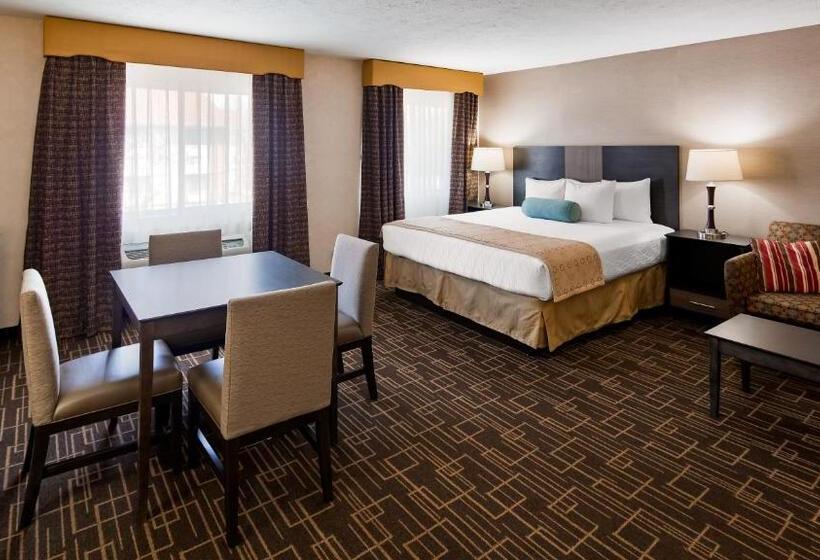 سوئیت با تخت بزرگ, Best Western Airport Inn