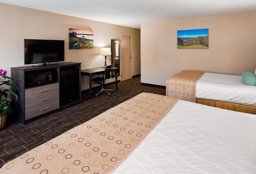 اتاق استاندارد با تخت دو نفره بزرگ, Best Western Airport Inn