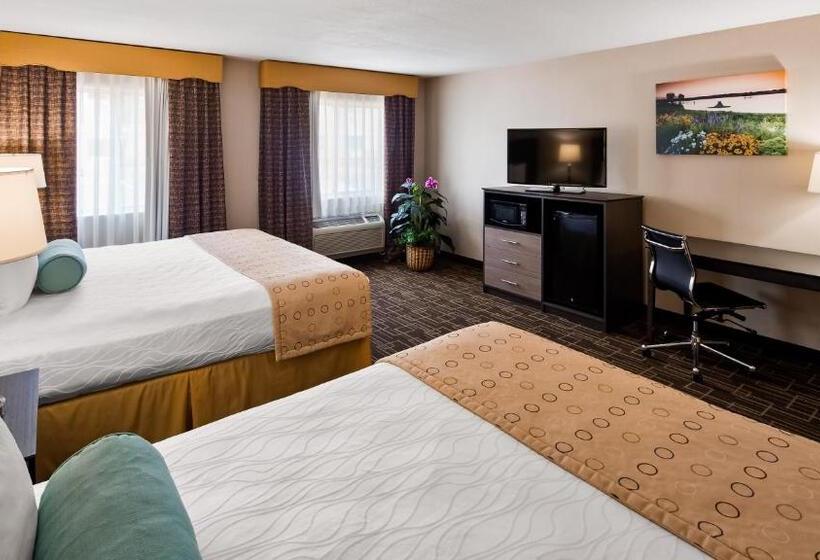 اتاق استاندارد با تخت دو نفره بزرگ, Best Western Airport Inn