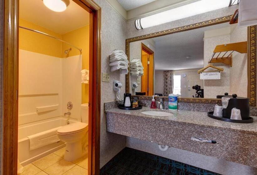 Трехместный Номер Базовый, Deluxe Inn   Fayetteville I 95